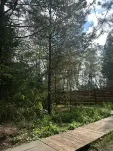 ForestHouse Лесной домик - 45