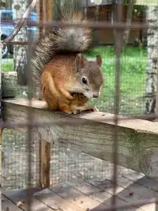 Серебряный Ключ - 6