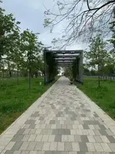 Лазурный - 69