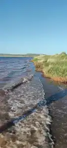 База отдыха Лазурный берег - 55