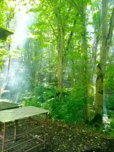 Урочище Кипячий - 1