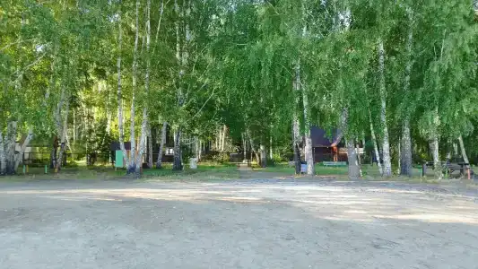 Солнечная поляна - 3