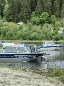 Тарулинна - 38