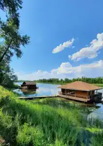 Роза Ветров - 10