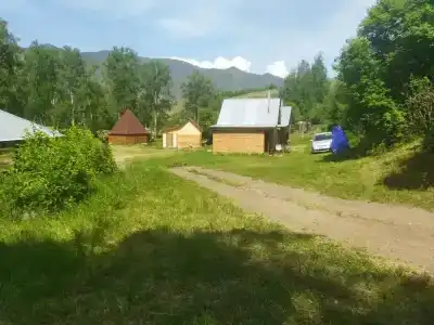 Алтын - 16