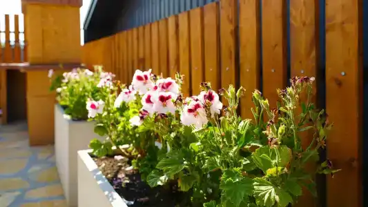 Солнечный пляж - 17