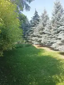 Зелёный огонёк - 6