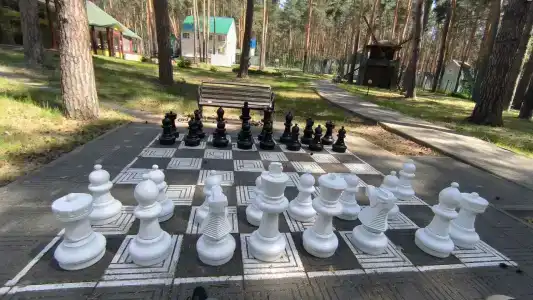 Берендей - 7