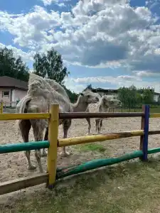 Спальный корпус Коверши - 92