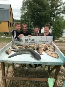 Белые камни - 96