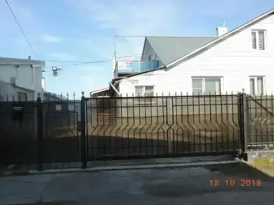Береза - 0