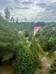 Можжевеловая роща - 6