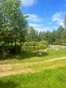 Можжевеловая роща - 5