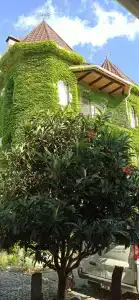 Замок Алустон - 48