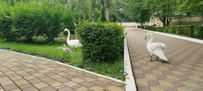 Энергетик - 1