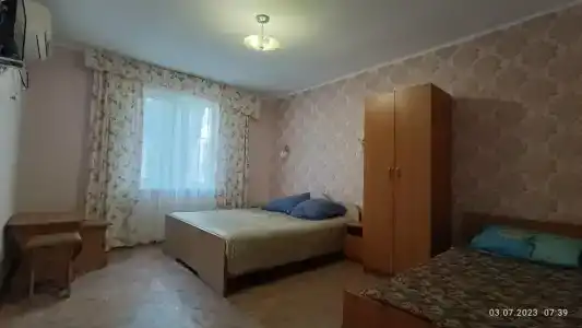 Кипарис-канака - 28