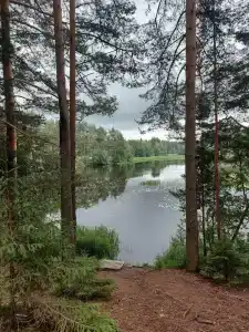 СерфСтанция Волго - 64