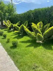 Гармония - 18