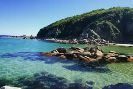 Чудесная Жемчужина - 26