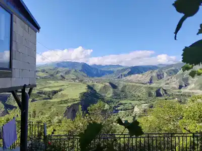 Пение птиц - 48