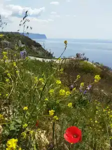 Солнышко - 31