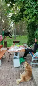 Усадьба помещика Гуляева - 23