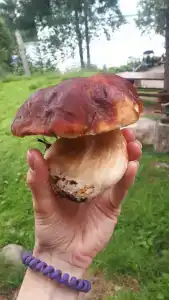 К-значит Карелия - 94