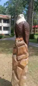 Энергетик - 74