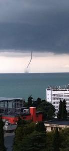 Пальмира - 89