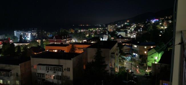 Пальмира - 96