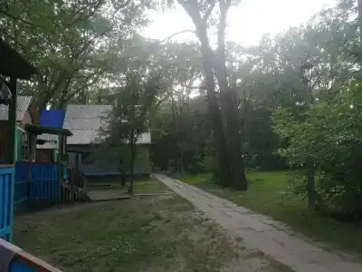 Любава - 21