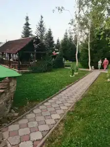 Снежный Барс - 20