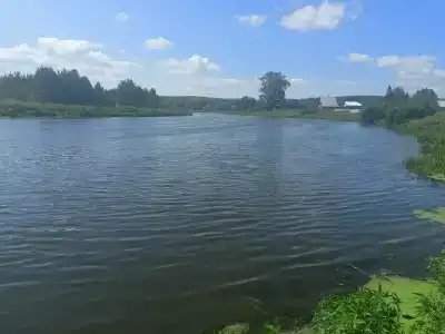 Суеты. нет - 13