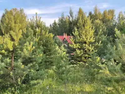 Уникальный творческий дом в Волоховщине - 35