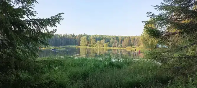 Кылдысин - 31
