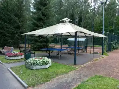 Белое солнце - 36