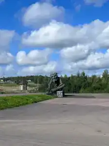 Черные камни - 77