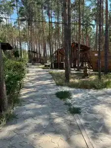 Разгуляево - 82
