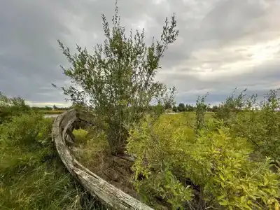 Челмужская усадьба - 66