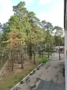 Жуковский - 42