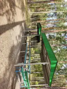 Сура - 50