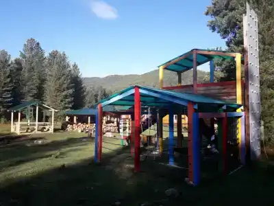 Снежный барс - 33