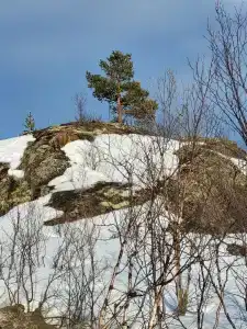 Морская рыбалка - 29