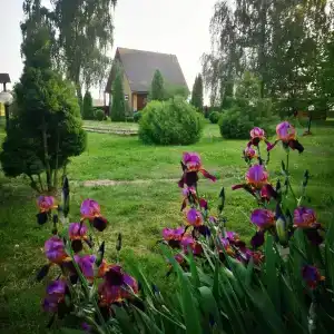 Усадьба Купалинка - 1
