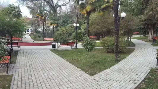 Хоста - 6