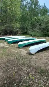 Вгости - 33