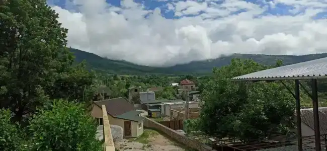 Чистый воздух - 1