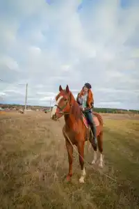 Дом-Шалаш на Усе - 27