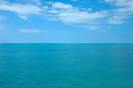 Элизабет - 45