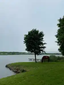 Liva Villa - 31